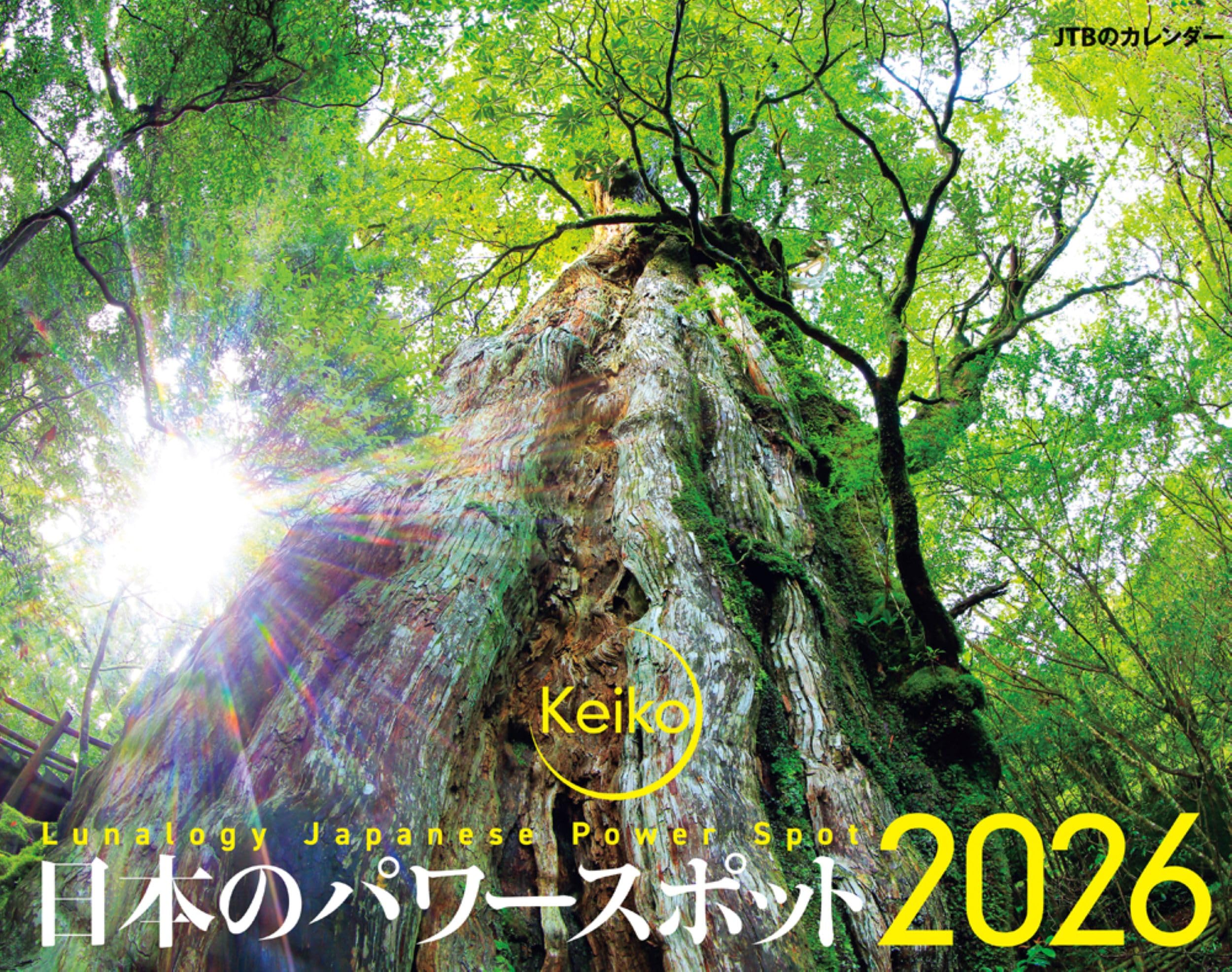 Amazon.co.jp: Keiko: 本、バイオグラフィー、最新アップデート